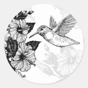 Sticker Rond Hibiscus et colibri