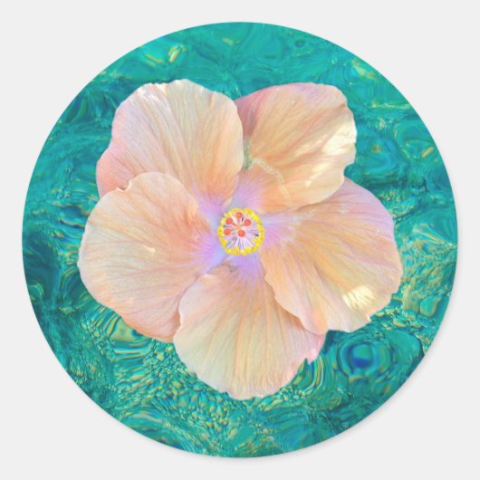 Sticker Rond Hibiscus fleur turquoise eau de l'océan Hawaïen (Devant)