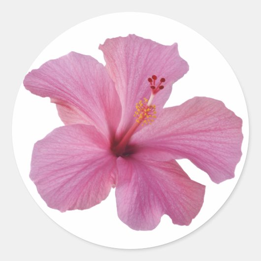 Sticker Rond Hibiscus rose Hawaiian Flower Modèle Customisé (Devant)