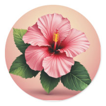 Hibiscus rose tropical