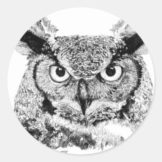 Sticker Rond Hibou à cornes