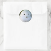 Sticker Rond Hibou des neiges (Sac)