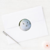 Sticker Rond Hibou des neiges (Enveloppe)