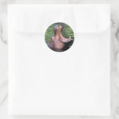Sticker Rond Hippo affamé (Sac)