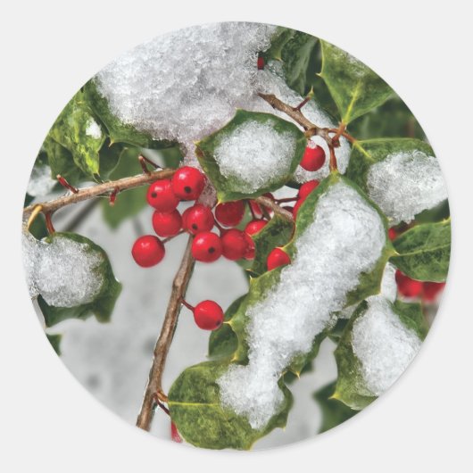 Sticker Rond Hiver - Houx recouvert de glace (Devant)
