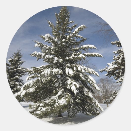 Sticker Rond Hivers à venir (Devant)