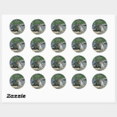 Sticker Rond Hoary Marmot (Feuille)