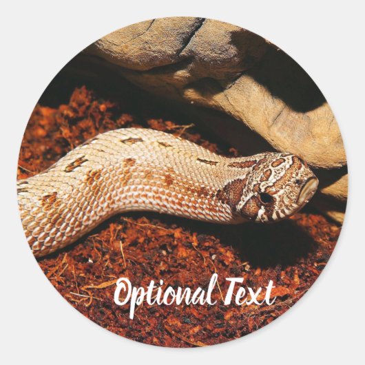 Sticker Rond Hognose Pet Snack (Devant)
