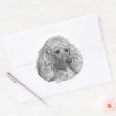 Sticker Rond Holly, caniche blanche (Enveloppe)