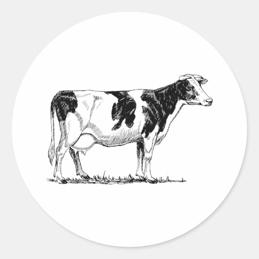Sticker Rond Holstein Cow (Devant)
