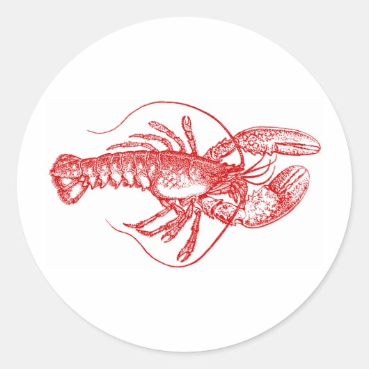 Sticker Rond Homard (Devant)