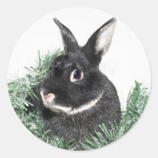 Sticker Rond Hoppy Holidays