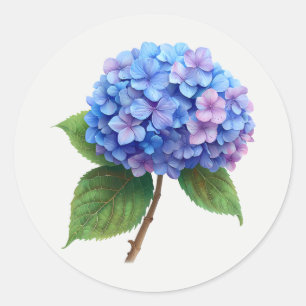 Sticker Rond Hortensia bleu rose art floral fleur de jardin