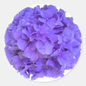 Sticker Rond Hortensias lilas violets fleurs violettes (Devant)