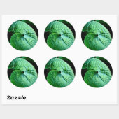 Sticker Rond Hosta Heart (Feuille)