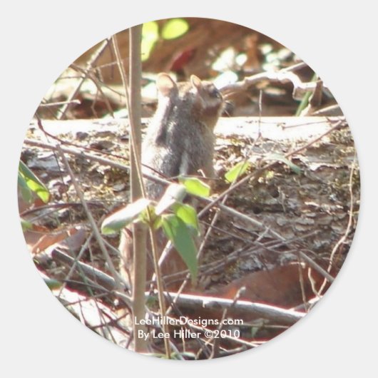 Sticker Rond Hot Springs Mountain, Arkansas Chipmunk Cadfts (Devant)