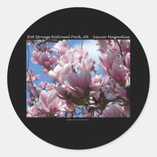 Sticker Rond Hot Springs National Park AR Saucer Magnoia Cadeau