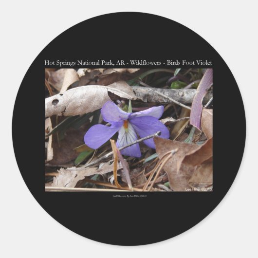 Sticker Rond Hot Springs National Park, AR Wild Violets Cadeaux (Devant)