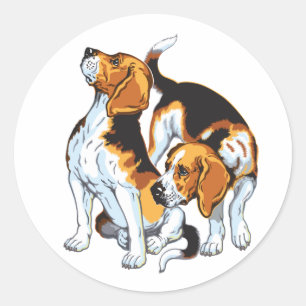 Sticker Rond Hound beagle