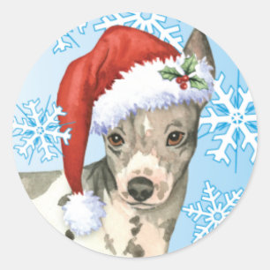 Sticker Rond Howlidays heureux Terrier chauve américain