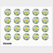 Sticker Rond Huile de fleur marguerite Chamomile effet soleil d (Feuille)