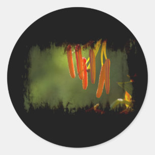 Sticker Rond Humboldt Lily Stamens