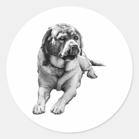 Sticker Rond Humeur de saison douce (Devant)