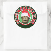 Sticker Rond Hump Day Camel Devinez Quel Jour C'Est Noël (Sac)