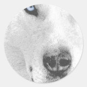 Sticker Rond Husky (Devant)