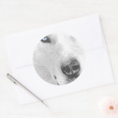 Sticker Rond Husky (Enveloppe)
