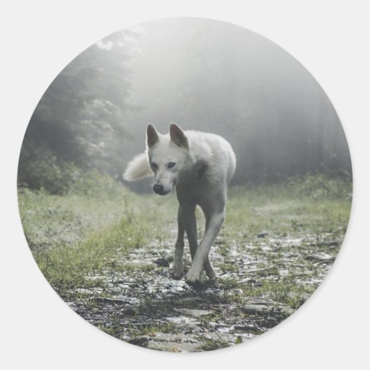 Sticker Rond Husky Sibérien Blanc (Devant)