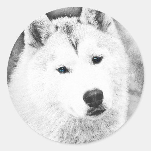 Sticker Rond Husky Sibérien Blanc avec Dessin d'Art Blue Eyes (Devant)