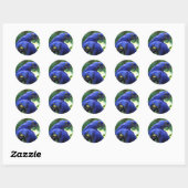 Sticker Rond Hyacinth Macaws (Feuille)