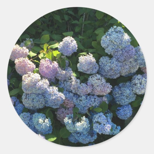 Sticker Rond Hydrangea Floral (Devant)