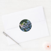 Sticker Rond Hydrangea Floral (Enveloppe)