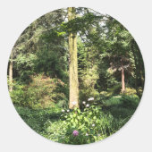 Sticker Rond Hydrangea Wood Trees (Devant)