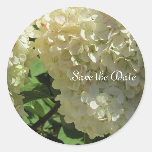 Sticker Rond Hydrangeas Blancs Élégants (Devant)