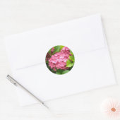 Sticker Rond Hydrangeas roses saisissants (Enveloppe)