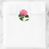 Sticker Rond Hydrangée rose fleur rose rose rose floral (Sac)