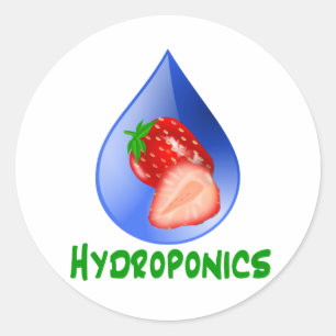 Sticker Rond Hydroponique, fraises, texte vert, goutte bleue