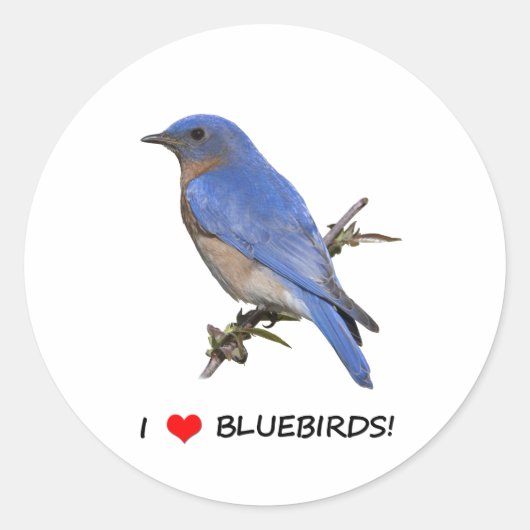 Sticker Rond I Love (coeur) Bluebirds (Devant)