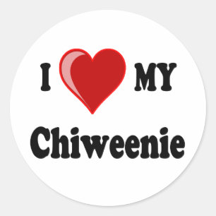 Sticker Rond I Love (Coeur) My Chiweenie Dog