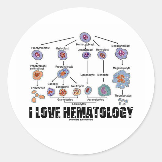 Sticker Rond I Love Hematology (Devant)