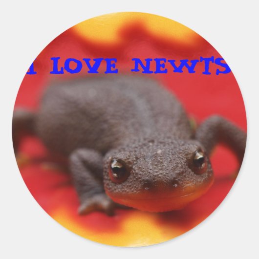 Sticker Rond I Love Newts (Devant)