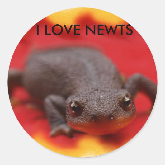 Sticker Rond I Love Newts (Devant)