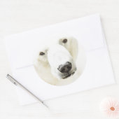 Sticker Rond Icy regard d'un ours polaire (Enveloppe)
