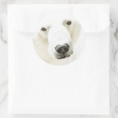 Sticker Rond Icy regard d'un ours polaire (Sac)