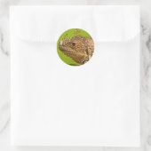 STICKER ROND IGUANA (Sac)