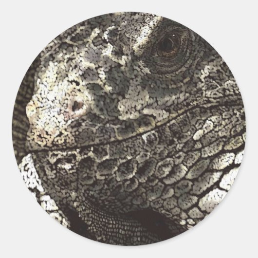 Sticker Rond Iguana (Devant)