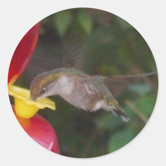 Sticker Rond Il est temps de manger (Devant)